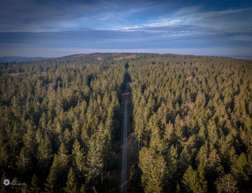 Deutscher Wanderverband übernimmt Verantwortung im und für den Wald