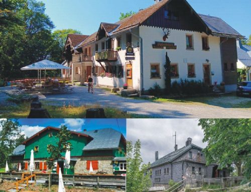 Unsere „Hausherren“ machen Urlaub!