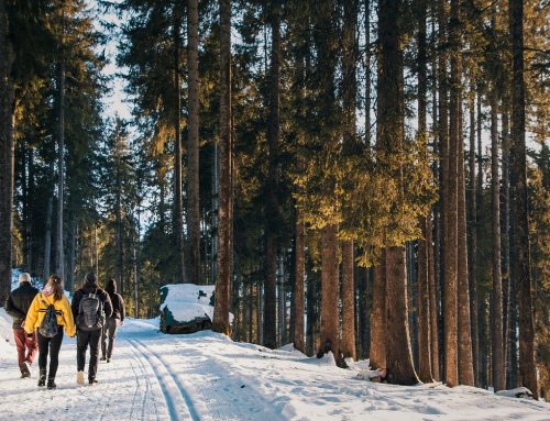 Ochsenkopf Winterwandertage 2026